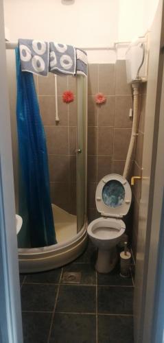 uma pequena casa de banho com WC e chuveiro em Sindi Apartman em Bačka Palanka