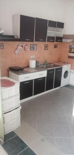 uma cozinha com um lavatório e uma máquina de lavar roupa em Sindi Apartman em Bačka Palanka