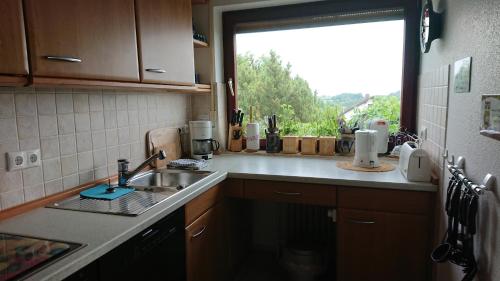 een keuken met een wastafel en een raam bij Ferienwohnungen Sternenhimmel WHG 1 in Medebach