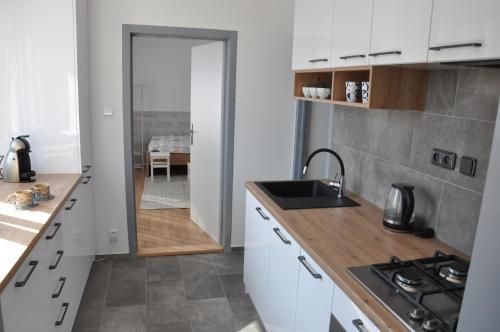 Η κουζίνα ή μικρή κουζίνα στο Pohoda apartmán Třeboň