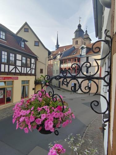 a hanging basket of pink flowers on a balcony at Haus Blumenampel in Schmalkalden