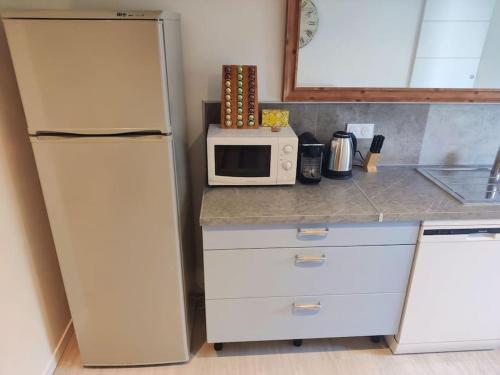 a kitchen with a white refrigerator and a microwave at Le Dragon - Appartement centre, Piscine partagée, Wifi, Jardin, Gare à 500m in Niort