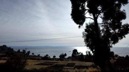 - une vue sur l'océan depuis une colline avec un arbre dans l'établissement BLUE SKY Amantani Lodge, à Ocosuyo