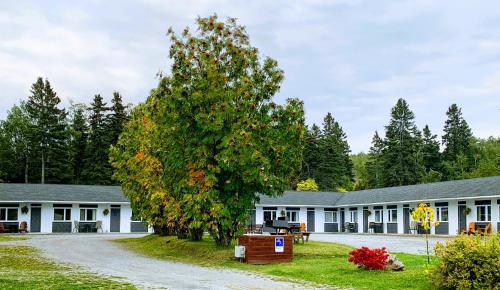 Градина пред Motel de L'Anse et Camping Rimouski