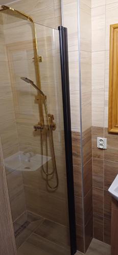 A bathroom at Apartmánový dům TERKA