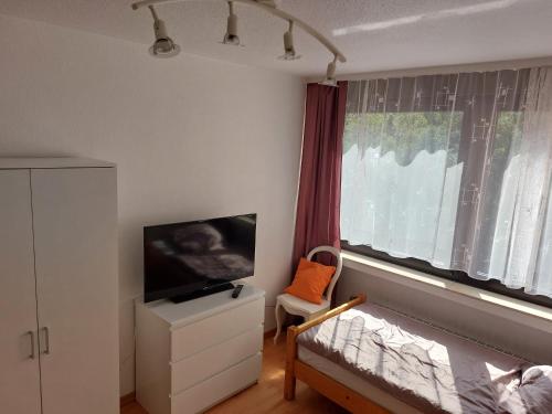 TV i/ili zabavni centar u objektu Großes PANORAMA APARTMENT