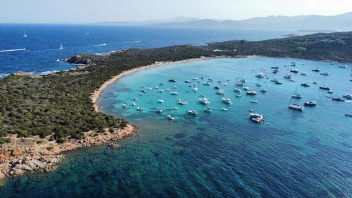 eine Luftansicht eines Hafens mit Booten im Wasser in der Unterkunft Case Vacanze Villa Rosita in San Teodoro