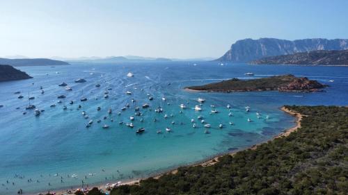 eine Luftansicht auf einen Strand mit Booten im Wasser in der Unterkunft Case Vacanze Villa Rosita in San Teodoro