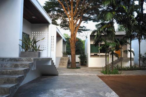 une maison avec des escaliers et un arbre en face de celle-ci dans l'établissement Canary Guesthouse, à Pai