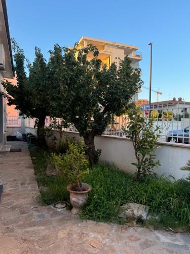 a tree in a yard next to a wall at Da Gio in Olbia