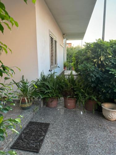 a group of potted plants in front of a house at Da Gio in Olbia