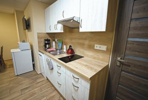 a small kitchen with a sink and a refrigerator at Nice accommodation in Mikulov in Mikulov