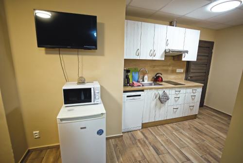 a kitchen with a refrigerator and a tv on the wall at Nice accommodation in Mikulov in Mikulov