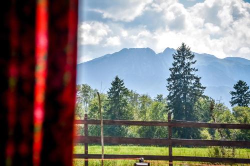 una vista da una finestra di un campo con montagne di Gazdówka na Brzyzku a Zakopane