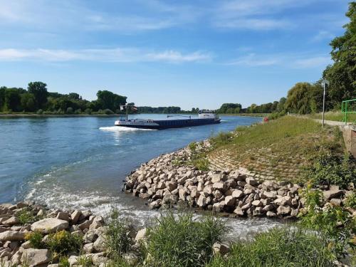 um barco a descer um rio com pedras em Apartment mit Innenhof, Rasen und Parkplatz em Altlußheim