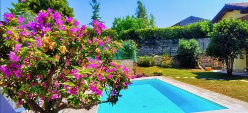 een zwembad in een tuin met paarse bloemen bij B&B QUINTARELLI in San Pietro in Cariano