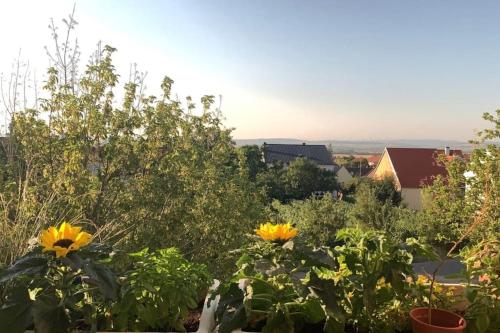 Blick auf einen Garten mit gelben Blumen in der Unterkunft Appartment Weitblick in Eisenstadt