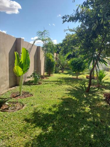 Kebun di luar Kasuba Apartments