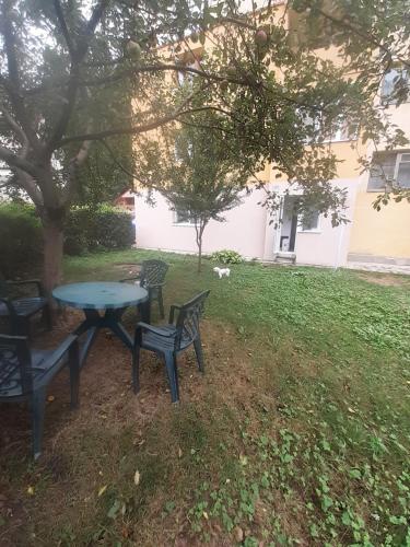 גינה חיצונית ב-Apartament PARTER CU GRADINA