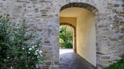 Fotografie z fotogalerie ubytování Alte Stadtmauer - Apartment v destinaci Sinsheim