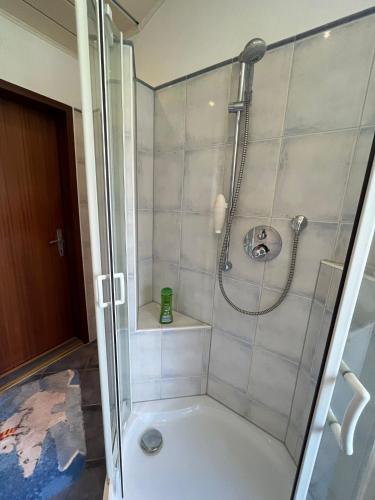 La salle de bains est pourvue d'une douche avec une porte en verre. dans l'établissement Retro Wohnung Niklasdorf, à Niklasdorf