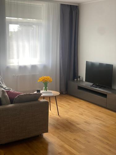 ein Wohnzimmer mit einem Sofa und einem TV in der Unterkunft Victoria Apartment in Narva