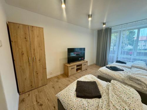 - une chambre avec 2 lits et une télévision à écran plat dans l'établissement Apartmán Strážske s balkónom, à Michalovce