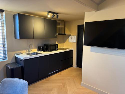 La cuisine est équipée d'un évier et d'un four micro-ondes. dans l'établissement Breda City Apartments, à Breda