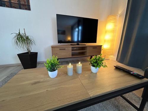 Televiisor ja/või meelelahutuskeskus majutusasutuses Zentrales Apartment mit Garten