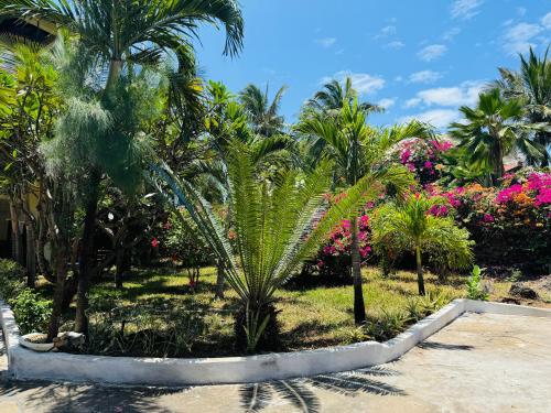 A garden outside Villa Jakasa