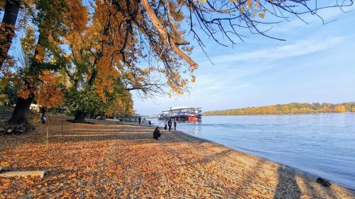 un gruppo di persone in piedi sulla riva di un fiume di Pannónia Szentendre a Szentendre