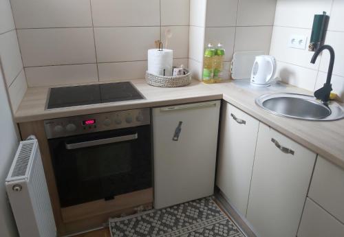 een kleine keuken met een wastafel en een fornuis bij Apartman IDEA Tuzla in Tuzla