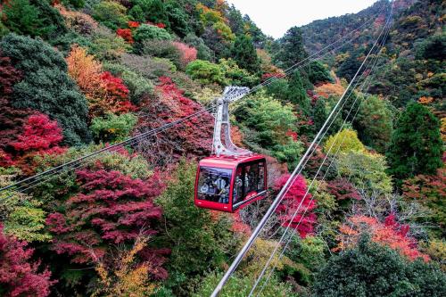 傳統日式旅館附近的自然景觀