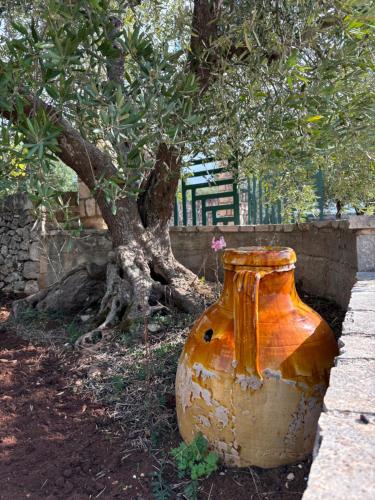 Jardí fora de VilIino Lucia