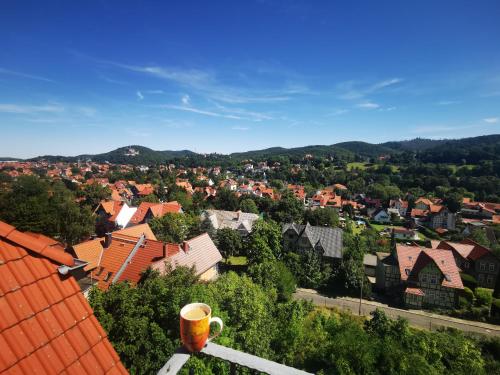 a cup of coffee sitting on top of a roof at Apartments Villa-Ratskopf Wernigerode in Wernigerode