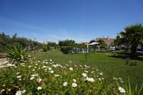 A garden outside A Janela das Palmeiras