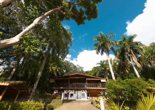 Jardí fora de Coco Bay