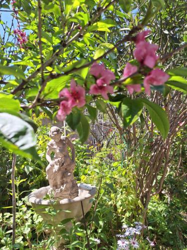 a statue in a garden with pink flowers at Habitacion y Baño Privado in La Serena