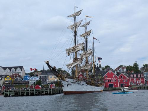 a tall ship docked in a harbor with buildings at Rose & Thistle B&B Lunenburg in Lunenburg