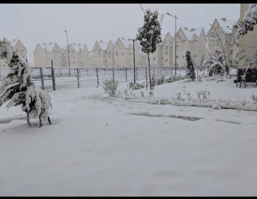 Les jardins d'Ifrane सर्दियों के दौरान