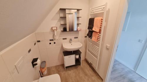 ピルナにあるFerienwohnung Richterの小さなバスルーム(洗面台、トイレ付)