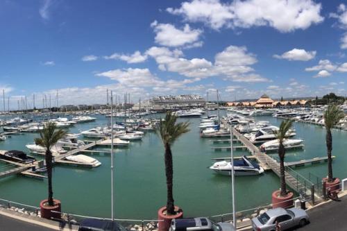 a marina filled with lots of boats and palm trees at T1 Vista Marina de Vilamoura in Vilamoura