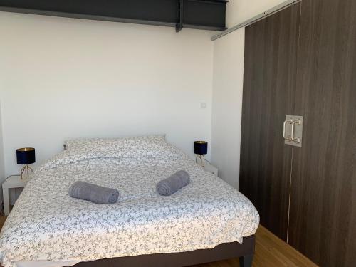 เตียงในห้องที่ Appartement neuf, vue sur saône