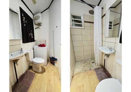 two pictures of a bathroom with a toilet and a sink at Evasion Authentique en Tiny House - 1 Champagne OFFERT - Le Paradis des Petits Voyageurs in Le Diamant