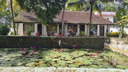 dom ze stawem z różowymi kwiatami w obiekcie Rithu Beach Villa w mieście Alappuzha