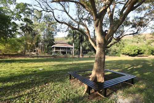 una panchina intorno a un albero in un parco di Golden Fields Resort A Unit Of Beaver Golden Fields a Mulshi