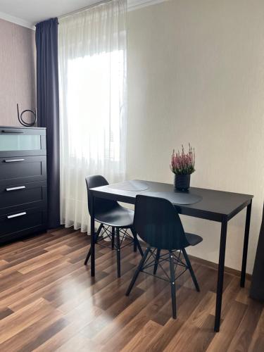 Virtuve vai virtuves zona naktsmītnē Vienibas apartment