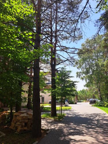 una strada alberata sul lato di una strada di Maglian Campus a Divčibare