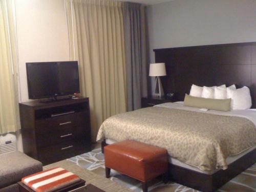 Postelja oz. postelje v sobi nastanitve Staybridge Suites Houston Stafford - Sugar Land, an IHG Hotel