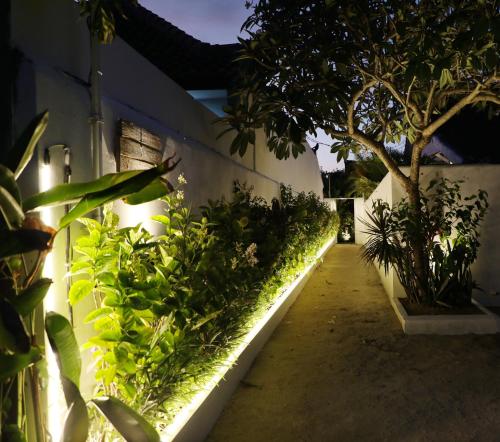 a garden with plants on the side of a building at Bingin Bienvenue Guest House in Uluwatu